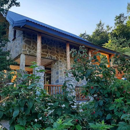 Fern Farm Eco Studio Apartment Mojkovac Exterior photo