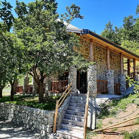 Fern Farm Eco Studio Apartment Mojkovac Exterior photo
