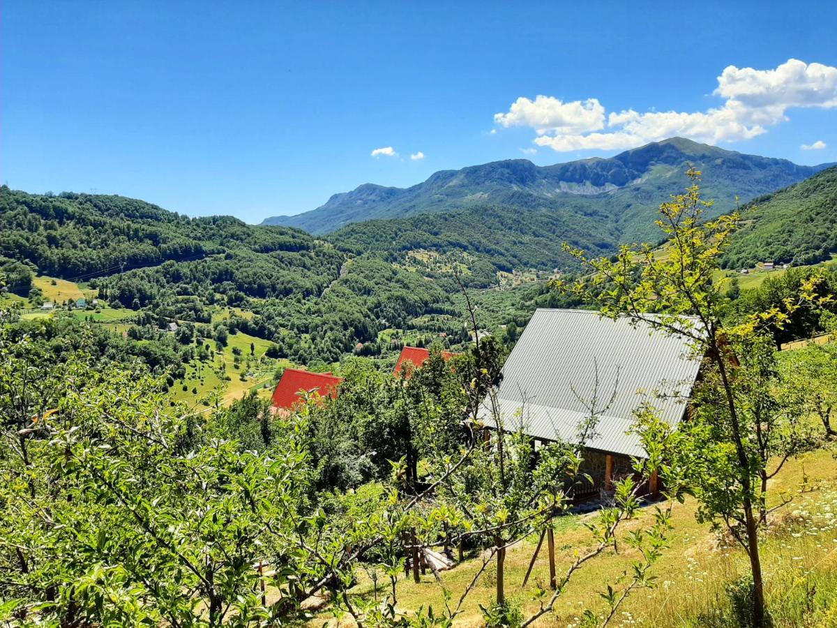 Fern Farm Eco Studio Apartment Mojkovac Exterior photo